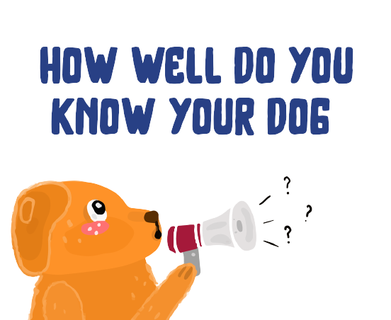 quizz-how-much-you-know-dogs