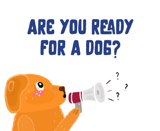 quizz-how-much-you-know-dogs