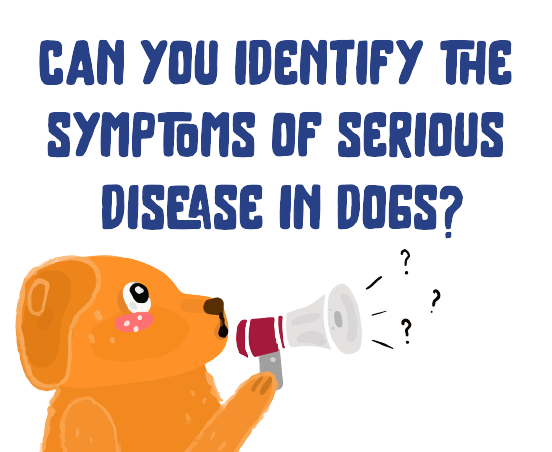 quizz-how-much-you-know-dogs