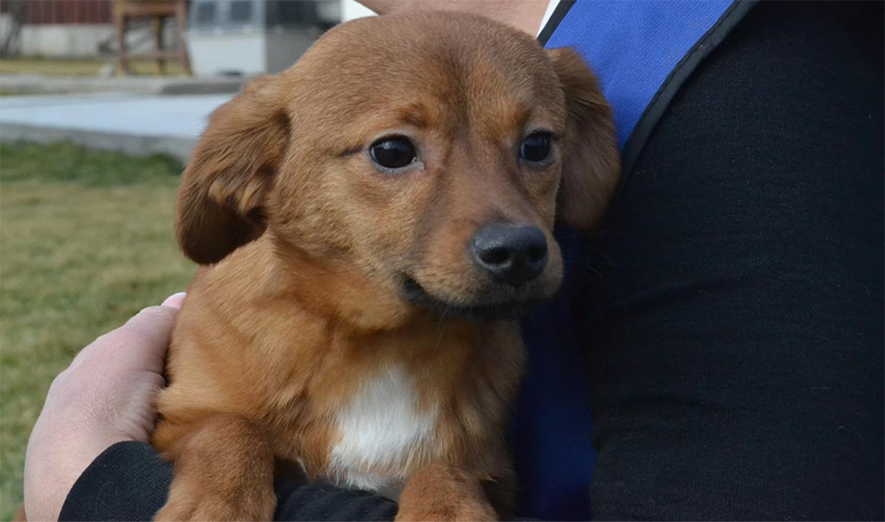 Top 6 reasons<br />
to adopt
