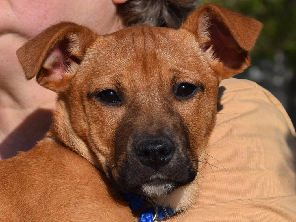 DAGNY